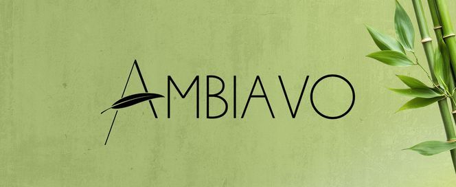 AMBIAVO – Stil und Ordnung für dein Zuhause