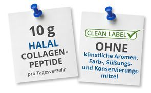 Entdecke die Vorteile