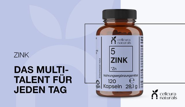 ZINK – Das Multitalent 