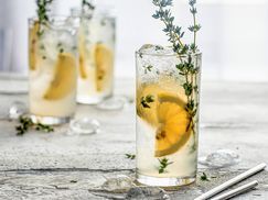 Perfekt für Jeden Drink und Einrichtung