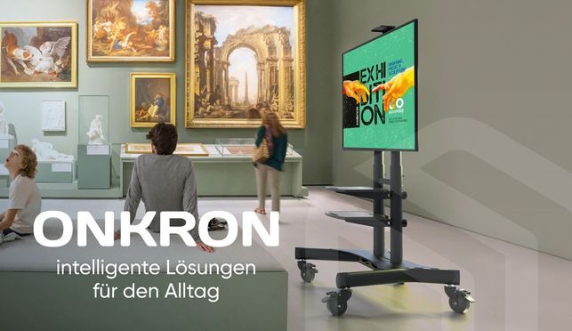 TS1881 – die beste Wahl für Ihren Fernseher