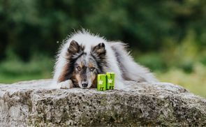 Umweltbewusst & recycelt