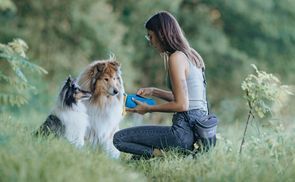 Von Hundetrainern entworfen