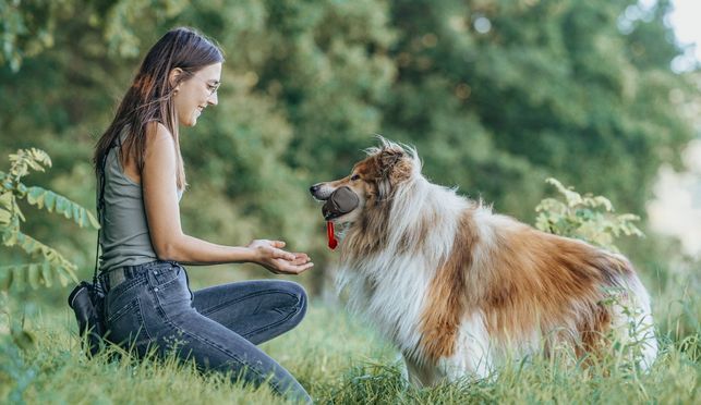 Spiel, Spaß und Training mit dem Futterdummy für Hund