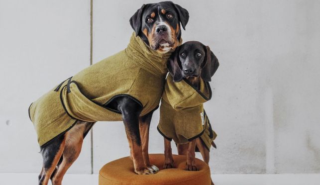 Schnelltrocknender Komfort für Hunde