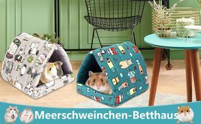 Ideale Wahl