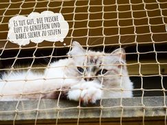 Katzennetz in Beige passt perfekt