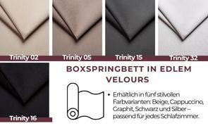Trinity Velours: Elegant, weich und pflegeleicht