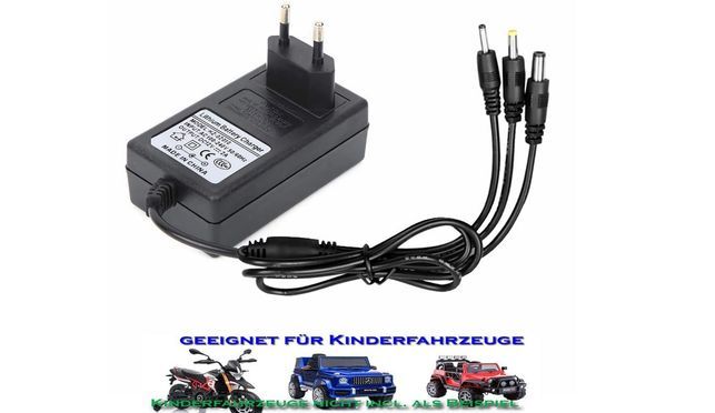 R49C 12V 2A Ladegerät für Elektroautos & Spielzeug, Universell Kompatibel mit Kinderautos, Motorräde