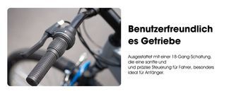 18 Gang Getriebe, ausreichend und sorgenfrei