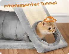 Beobachten und Schlafen