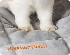 Mehrere Farben zur Auswahl