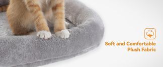 Wohlbefinden mit vielen Katzen