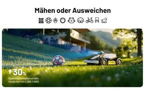 Sicherheit beim Rasenmähen, Steht immer an Erster Stelle