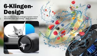 6 flügelige Edelstahlklinge (304 lebensmittelecht)