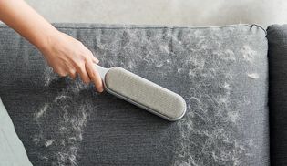Große Flächen effizient von Haaren und Fusseln befreien