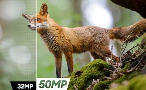 50 MP Fotos aufnehmen
