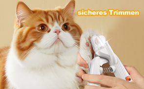 Sicher und fehlerfrei!