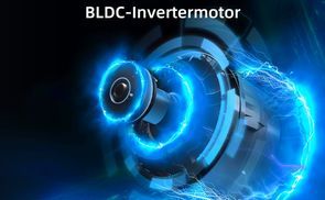  BLDC Invertermotor