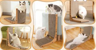 Für Katzen jeder Размер geeignet
