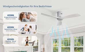 Deckenventilator mit 6 Geschwindigkeiten