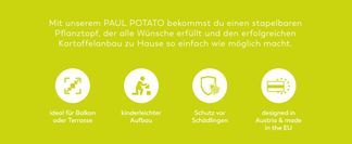 Professioneller Kartoffelturm