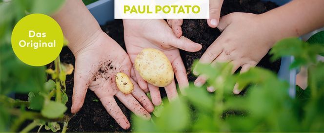 GUSTA GARDEN Paul Potato Kartoffelturm Hochbeet Turm Kartoffeln Garten & Balkon Schädlingsschu