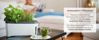 Gießen leicht gemacht