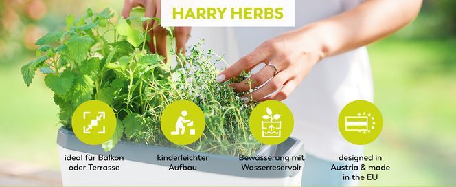 GUSTA GARDEN Harry Herbs 4in1 Kräutertopf Blau Pflanzentopf Abnehmbare Anzuchthaube & Bewässerun