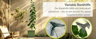 Innovatives Ranksystem