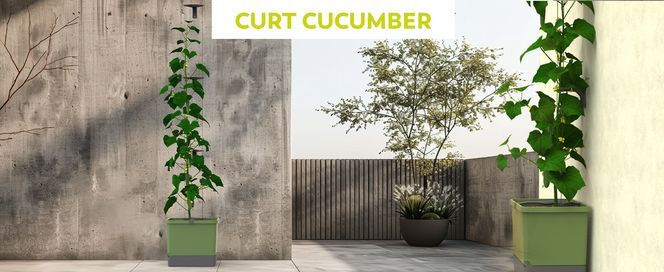 GUSTA GARDEN Curt Cucumber Selbstbewässernder Gurkentopf mit Ranksystem, 20L Erdvolumen & 4,5L Was