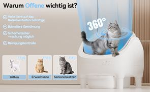 Offenes Design – maximale Freiheit für Katzen