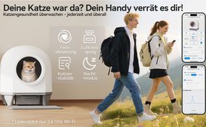 Steuern Sie alle Szenarien intelligent über die App.