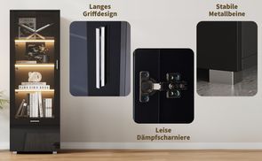 Premium Vitrinenschrank: Kraftdüse im Detail