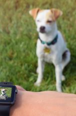 Kamera-Armband für die Apple Watch