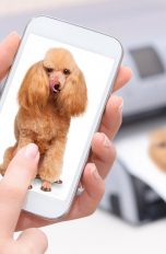 Foto wird vom Handy aus an den Drucker gesendet
