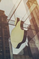 Apple Car in offiziellem Schreiben indirekt bestätigt