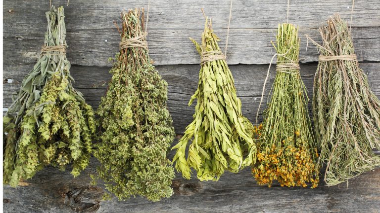 Kochen mit der Mikrowelle: Überraschende Rezepte Wussten Sie das? Mit einer Mikrowelle können Sie nicht nur kochen, sondern auch Kräuter trocknen.