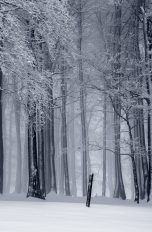 Winterlandschaft Schwarzweiß