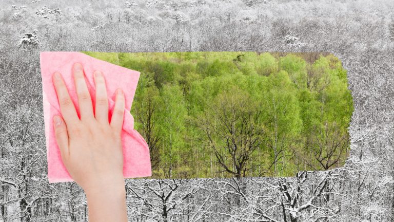 Symbolbild: Hand putzt schwarz-weiße Welt natürlich grün