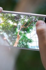 Google Pixel