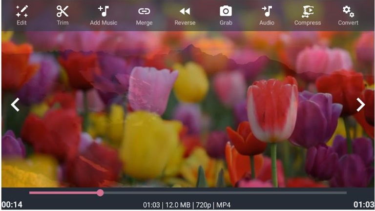 Bilder aus einem Video extrahieren: Diese Tipps und Tools helfen Bild aus Video extrahieren mit AndroVid