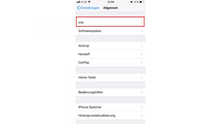 iOS Menüfolge: Einstellungen > Allgemein > Info > Apps