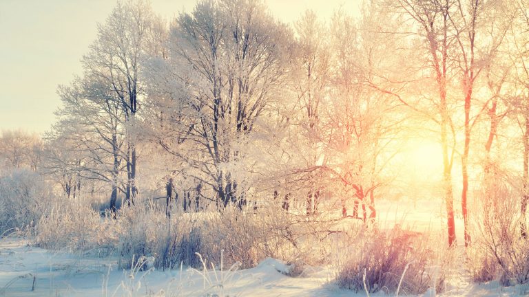 Schnee fotografieren Dämmerung Mittagssonne bei Schneebildern vermeiden