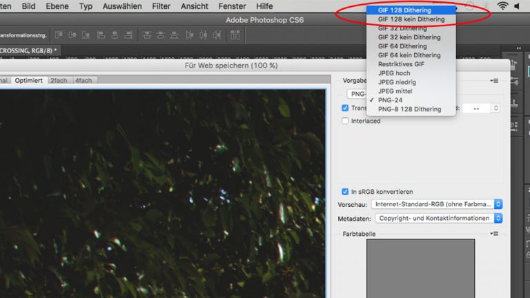 GIF Photoshop Dithering GIF auf dem richtigen Format speichern auf Photoshop