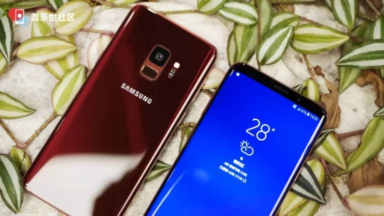 Galaxy S9 Burgunder