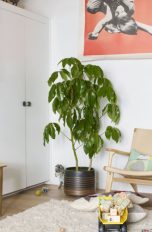 Sonos Beam