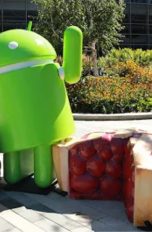Android Pie Statue von Google