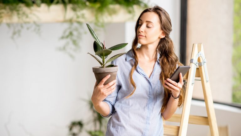 Frau bestimmt mit einer App auf dem Smartphone eine Pflanze Frau bestimmt mit einer App auf dem Smartphone eine Pflanze