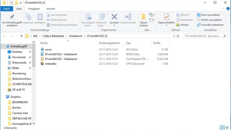 Ordner unter Windows 10 mit PDF- und EPUB-Datei Ordner unter Windows 10 mit PDF- und EPUB-Datei